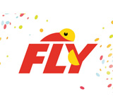 videosurveillance fly